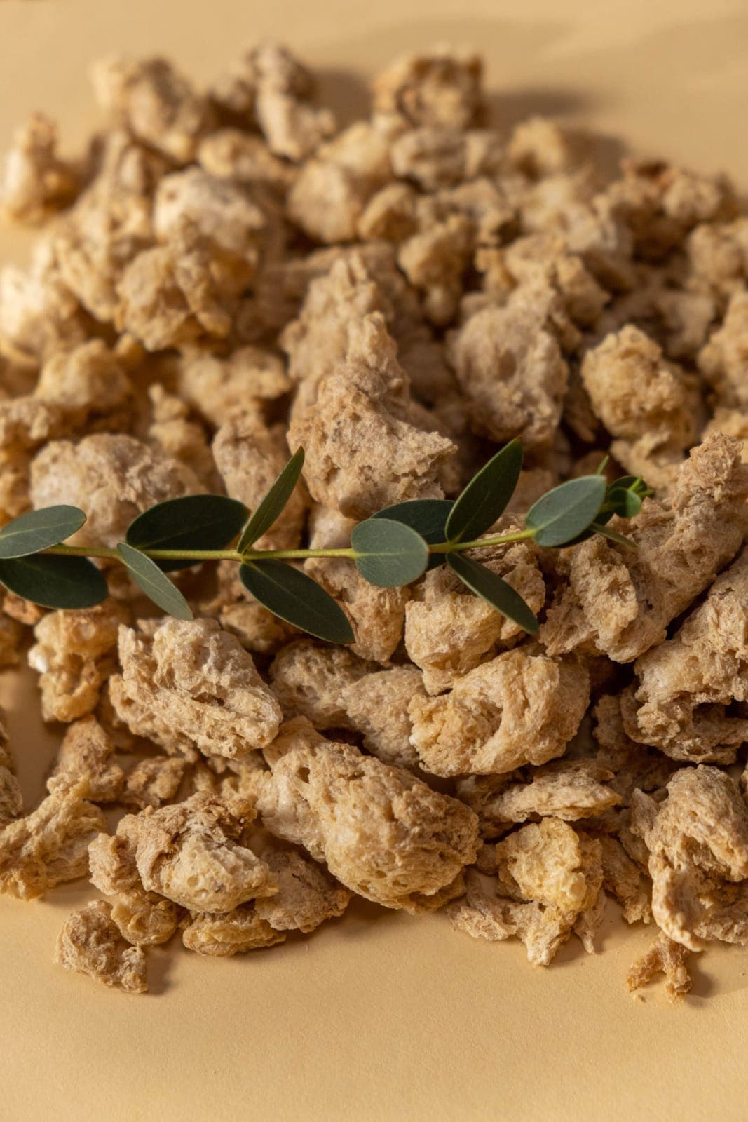 Proteína texturizada de soja TEXPRO